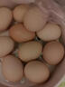 南步農家散養土雞蛋【現撿速發(fā)】新鮮雞蛋笨雞蛋草雞蛋正宗柴雞蛋初生 10枚裝 【單枚40-45g】約400g 試吃 曬單實(shí)拍圖