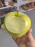 櫻鮮正宗新疆王林蘋(píng)果【產(chǎn)地直達】新鮮水果阿克蘇青森青蘋(píng)果整箱順豐 80mm-85mm 【大果】新疆直發(fā) 順豐 8斤 曬單實(shí)拍圖