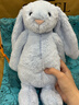 Jellycat害羞藍色邦尼兔 柔軟動(dòng)物毛絨玩偶公仔玩偶送禮娃娃新年生日禮物 害羞藍色邦尼兔 Medium 曬單實(shí)拍圖