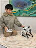 科學(xué)怪獸deepseek智能機器狗兒童玩具6-10歲機器人遙控汽車(chē)男女孩新年禮物 曬單實(shí)拍圖