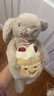 Jellycat懷抱玫瑰邦尼兔生日蛋糕邦尼兔懷抱愛(ài)心乳白色邦尼兔新年情人節禮 生日蛋糕邦尼兔(23CM） 免費代寫(xiě)賀卡【贈配套禮袋】 曬單實(shí)拍圖