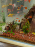 HANYANG魚(yú)缸底砂黃金沙水草南美雨淋化妝細沙免洗龜缸水族養魚(yú)造景2kg 曬單實(shí)拍圖