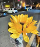太陽(yáng)能向日葵花燈戶(hù)外仿真花束露營(yíng)花園庭院網(wǎng)紅裝飾氛圍燈 3頭太陽(yáng)能向日葵1支裝 曬單實(shí)拍圖