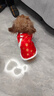 DFBK狗狗衣服秋冬款加絨保暖泰迪博美小型犬小貓大花棉襖新年寵物唐裝 瀨毛公主裙 S【建議3-5斤 參考胸圍背長(cháng)】 曬單實(shí)拍圖