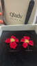 Qlady新年紅色花朵耳釘女2025年氣質(zhì)高級感銀針耳環(huán)輕奢耳飾生日禮物 曬單實(shí)拍圖