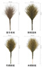 納福鳥(niǎo) 大掃把大掃帚掃院子掃馬路環(huán)衛學(xué)校庭院工廠(chǎng)車(chē)間專(zhuān)用家用4斤竹掃把新枝豪華款脫葉木柄（5把裝） 曬單實(shí)拍圖