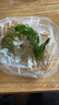 LZJV金魚(yú)藻魚(yú)缸造景真水草懶人必備增氧無(wú)需水草泥耐養好活 金魚(yú)藻1根帶呼吸環(huán) 曬單實(shí)拍圖
