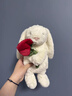 Jellycat乳白色懷抱玫瑰邦尼兔毛絨禮物玩偶2026情人節新品新年生日禮物 乳白色懷抱玫瑰邦尼兔 Medium 曬單實(shí)拍圖