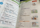 七彩課堂2026春七彩課堂一二三四五六年級下冊上冊小學(xué)語(yǔ)文數學(xué)英語(yǔ)教材原文同步解析學(xué)霸隨堂預習復習筆記輔導書(shū)人教部編北師大蘇教版教材課文同步全解 人教版語(yǔ)文（部編） 六年級下冊 曬單實(shí)拍圖