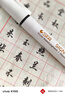 JCZS德國品牌秀麗筆書(shū)法專(zhuān)用軟頭自帶筆鋒小楷中楷大楷美術(shù)硬筆軟筆書(shū)法練字專(zhuān)用可加墨水抄經(jīng)筆鋼筆式 2支【小楷+中楷】送墨水速干順滑筆尖不分叉 曬單實(shí)拍圖