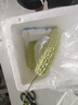 南澳珠瓜潮汕白珠苦瓜露天種植蔬菜現摘可刺身即食涼瓜京東快遞 京東快遞  1kg 南澳直發(fā) 曬單實(shí)拍圖