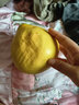 福建平和老樹(shù)紅柚 新鮮現摘 皮薄肉厚多汁 蜜柚柚子 1-1.5斤（嘗鮮） 曬單實(shí)拍圖
