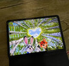 vivo Pad SE平板電腦12.3英寸 90Hz護眼柔光屏二合一游戲辦公網(wǎng)課學(xué)習PAD 6GB+128GB 藍色 標準版 官方標配 曬單實(shí)拍圖