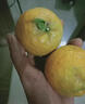 南步浙江溫州甌柑 麗水特產(chǎn)苦橘子黃果苦桔椪柑柑歐柑桔新鮮水果整箱 5斤 精選中果【約4-5個(gè)/斤】 曬單實(shí)拍圖
