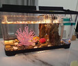 寵小島桌面生態(tài)魚(yú)缸小型客廳過(guò)濾制氧一體機新款家用烏龜金魚(yú)缸 大號黑色【奢華款】 曬單實(shí)拍圖