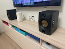 JBL CM500立體聲藍牙音箱音響 桌面電腦臺式機音箱無(wú)線(xiàn)有源監聽(tīng)HIFI音響生日新年禮物男生 黑色 曬單實(shí)拍圖
