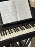 特倫斯（Terence）電鋼琴88鍵重錘電子鋼琴成年人兒童入門(mén)考級電鋼鍵盤(pán)樂(lè )器P20 P20單主機+原裝單踏板 1年學(xué)琴會(huì )員 曬單實(shí)拍圖
