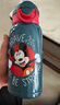 迪士尼（Disney）兒童保溫杯316不銹鋼吸管直飲水杯幼兒園小學(xué)生雙飲水壺650ml米奇 曬單實(shí)拍圖