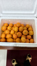 京鮮生 正宗廣西砂糖橘禮盒凈重4.5斤 單果35-55mm年貨禮盒源頭直發(fā)包郵 曬單實(shí)拍圖