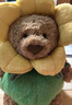 Jellycat巴塞羅熊水仙花裝毛絨玩具玩偶娃娃禮物2026春夏新品 棕色 Medium 曬單實(shí)拍圖