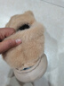 卡皮巴拉冬季兒童包跟棉鞋保暖居家毛毛EVA底防滑中小童寶寶棉拖 升級版環(huán)保材質(zhì)淺咖色 12 34/35鞋內長(cháng)20.5適合腳長(cháng)19.5 曬單實(shí)拍圖