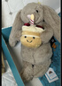 Jellycat蛋糕兔英國害羞邦尼兔懷抱生日蛋糕毛絨玩偶陪伴安撫公仔送女友 懷抱生日兔+禮袋 23厘米送藍色防塵袋 曬單實(shí)拍圖