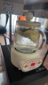 小南瓜養生壺多功能全自動(dòng)煮茶器迷你家用燒水壺電熱水壺恒溫壺茶壺家電茶壺燒水器小型一人煮水壺玻璃壺 0.5L-標準款 0.5L 曬單實(shí)拍圖
