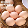 山林谷物鮮雞蛋50g天然營(yíng)養新鮮柴雞蛋月子蛋笨雞蛋 谷物蛋10枚 曬單實(shí)拍圖