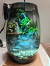 丘辰苔蘚微景觀(guān)養魚(yú)生態(tài)瓶diy辦公室內桌面綠植擺件花卉盆栽生日禮物 翠微2025款-店長(cháng)推薦 曬單實(shí)拍圖