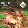 姜來(lái)無(wú)憂(yōu)云南羅平小黃姜丸食用純姜丸原始點(diǎn)姜丸代替姜湯粉濃縮姜丸 姜丸(250g/瓶) 曬單實(shí)拍圖