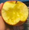 新疆阿克蘇蘋(píng)果大果脆甜紅富士蘋(píng)果應季新鮮水果非冰糖心蘋(píng)果順豐 85mm(含)-90mm(不含)_中大果_17個(gè)左 8斤 曬單實(shí)拍圖