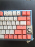 CHERRY櫻桃 KW300MX TKL機械鍵盤(pán)81鍵NewVintage無(wú)線(xiàn)熱插拔兼容MACMINI電競辦公家用 粉/藍 紅軸 曬單實(shí)拍圖