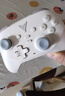 飛智沙漠狐 多模版無(wú)線(xiàn)游戲手柄 類(lèi)xbox霍爾扳機switch電腦PC手機steamNS雙影奇境 曬單實(shí)拍圖