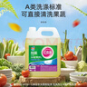 紅玫瑰（Hongmeigui） 除菌餐具洗潔精5kg大桶快速去油易清洗火鍋重油污深層潔凈 除菌洗潔精5kg 曬單實(shí)拍圖