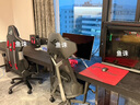 ROG銀翼 ROG電競椅 人體工學(xué)電競椅 ROG電競周邊 居家宿舍游戲 升降扶手鋁制框架 柔軟PU泡沫透氣網(wǎng)布 ROG銀翼 曬單實(shí)拍圖