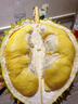 麓鵲泰國干堯榴蓮進(jìn)口液氮冷凍水果整果精選AA級 3.5-4.0斤【優(yōu)選4房果】 曬單實(shí)拍圖