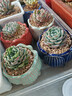 多肉花盆動(dòng)物可愛(ài)花卉植物陶瓷卡通地面桌面控型小老樁盆小號創(chuàng  )意 六色寶蓮燈花盆組合 無(wú)規格 曬單實(shí)拍圖