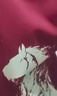 真維斯（Jeanswest）酒紅色衛衣秋冬季男女同款2026新年限定馬年本命年衣服潑墨馬外套 曬單實(shí)拍圖
