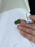 豆蔻時(shí)光和田玉碧玉貔貅散珠配珠DIY手串手鏈配件單顆無(wú)黑文玩配飾玉墜 曬單實(shí)拍圖