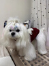 湯尼熊狗狗衣服秋冬無(wú)袖保暖毛衣雪納瑞泰迪比熊保暖背心小型犬貓衣服 保暖加厚毛衣【紅色-單耳小狗】 M丨背長(cháng)29胸圍44建議5-8斤 曬單實(shí)拍圖