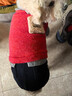憨憨寵 寵物狗狗衣服小型犬泰迪衣服冬季狗衣服小狗衣服透氣四腳棉衣 紅色款 L號建議體重8-11斤 曬單實(shí)拍圖