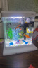【京東物流】魚(yú)缸京東自營(yíng)一體缸免換水全自動(dòng)熱彎懶人桌面玻璃 熱彎水族箱-豪華禮包+藍珊瑚造景 210*155*245mm 曬單實(shí)拍圖