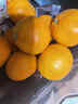 趣嘗鮮臺州臨海涌泉蜜桔蜜橘 65-80mm 凈重6.5斤  1號會(huì )員店 源頭直發(fā) 曬單實(shí)拍圖