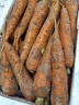老品種胡蘿卜新鮮帶泥發(fā)貨寶寶孕婦老人農家自種非轉基因零食 5斤 曬單實(shí)拍圖