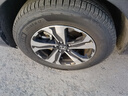 米其林（MICHELIN）汽車(chē)輪胎 235/65R17 108V 旅悅+ PRIMACY SUV+ 適配CR-V/豐田塞納 曬單實(shí)拍圖