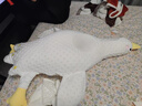 新安代嬰兒排氣枕新生兒大白鵝趴睡飛機抱枕哄睡覺(jué)枕 新升級大鵝款+星星綁帶+ 捏捏叫 曬單實(shí)拍圖
