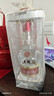 五糧液 普五八代 濃香白酒 52度 500ml*2瓶禮物 官方授權酒廠(chǎng)直供 曬單實(shí)拍圖