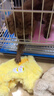 MIKI PAD狗狗衣服四腳絨衣秋冬季加厚保暖泰迪比熊雪納瑞小型犬寵物可牽引 黃色 S背長(cháng)20cm（按照背長(cháng)購買(mǎi)/參考體重2-4斤） 曬單實(shí)拍圖