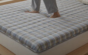 無(wú)印良品A類(lèi)全棉棉花床墊遮蓋物褥子學(xué)生宿舍床褥可折疊1.8x2米 蘭格 曬單實(shí)拍圖