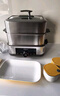 東菱（Donlim）電蒸鍋燉蒸一體多功能蒸汽鍋雙層不銹鋼 家用3-4人大容量陶瓷汽鍋雞高溫速蒸預約保溫蒸箱DL-1005 曬單實(shí)拍圖